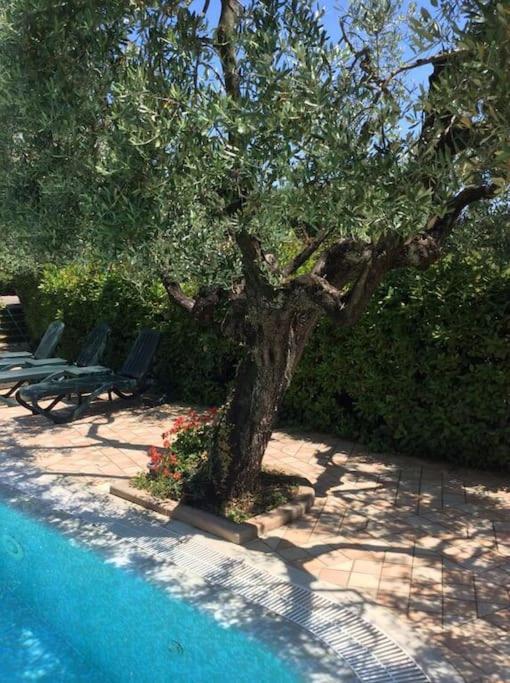Verdoliva Holiday home