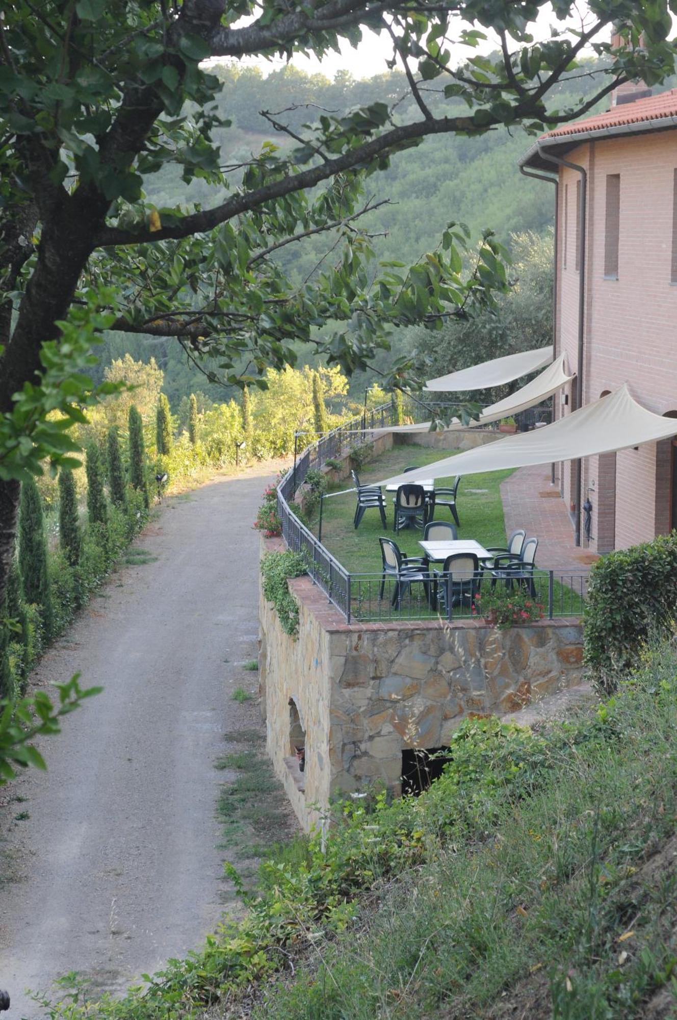 Verdoliva